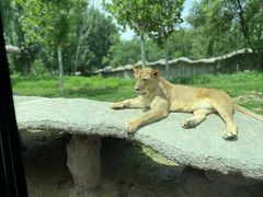 -北京野生动物园