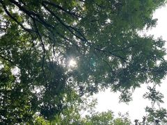 -清华大学-甲所餐厅