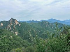 -大岭沟猕猴桃谷风景区