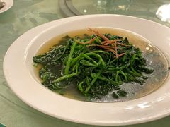 上汤西洋菜-葡京日丽(澳门葡京酒店)