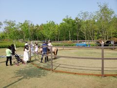 -上海长兴岛郊野公园