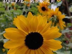 -南宁南湖公园