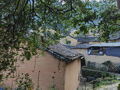 -杨家堂村