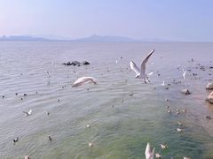 -深圳湾公园(南山区)