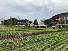 -中国天府农业博览园