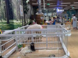 -小象动悟公园(龙湖亦庄天街店)