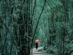 -赤水丹霞旅游区·大瀑布