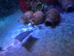 -沈阳海洋探索中心