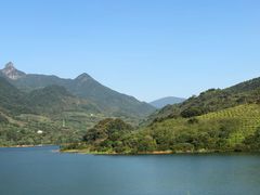 -广州市流溪河国家森林公园