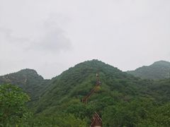 -大岭沟猕猴桃谷风景区