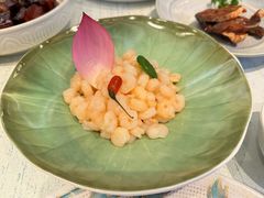 -上海和平饭店龙凤厅 Dragon Phoenix