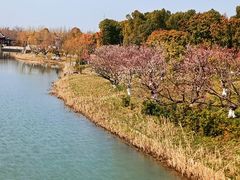 -梅林春晓花园餐厅
