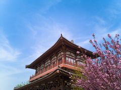 -西安青龙寺遗址景区