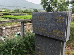 -龙坞茶村
