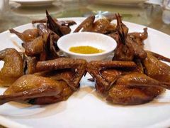 红烧乳鸽-绿华园休闲山庄