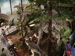 -湖南省地质博物馆