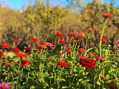 -永定河休闲森林公园