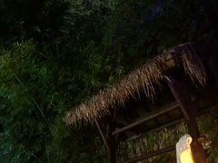 -崇阳三特浪口温泉