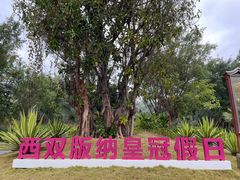 -西双版纳融创皇冠假日度假酒店