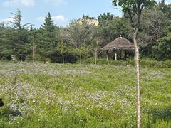 -九龙池景区