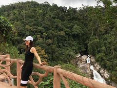 -海南热带雨林国家公园吊罗山景区