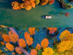 -池杉湖湿地公园