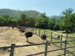 -西安秦岭野生动物园