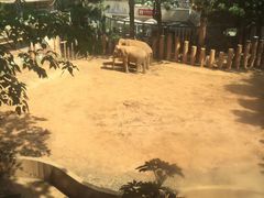 -昆明动物园
