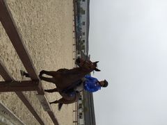 松声马术俱乐部-松声马术俱乐部