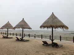 -北海金海湾红树林生态旅游区