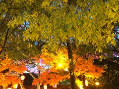 -横店影视城梦幻谷园区