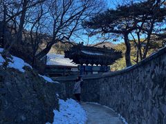 -香山公园