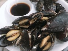 野生大贻贝-原味蒸汽海鲜(嵊泗店)