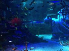 -沈阳海洋探索中心