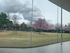 -金泽21世纪美术馆