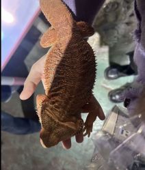 点击看大图 -酷嗒动物文化乐园(cutezoo西溪乐天城店)