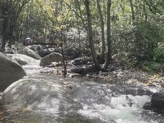 -云岫谷游猎自然风景区