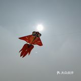 早春乡野清新田园
