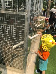 -萌宠亲子动物乐园(槐房万达店)