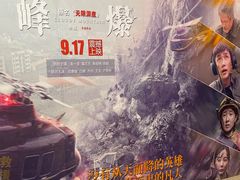 -万达影城(惠山IMAX店)