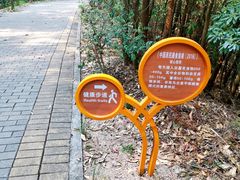 -滴水岩森林公园