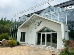 -东平国家森林公园