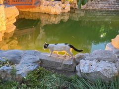 -李叔同故居纪念馆