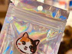 -平行世界·猫咖(首经贸店)