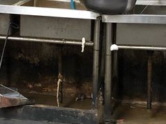 -曾记大腰子烧烤(苗栗路总店)