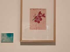 -江苏省美术馆(长江路新馆)