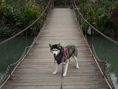 -桤木河湿地公园