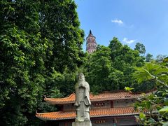 -顺峰山公园