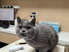 -谐和贝康宠物医院24小时·宠保定点(急重症转诊中心)