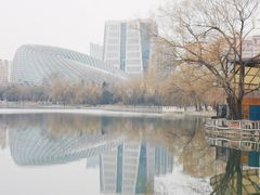 -凤凰中心